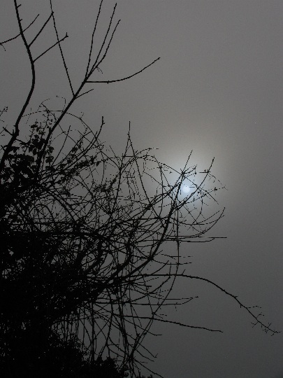 Agrandir la Photo